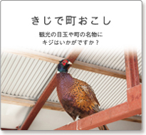 きじで町おこし