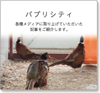 パブリシティ